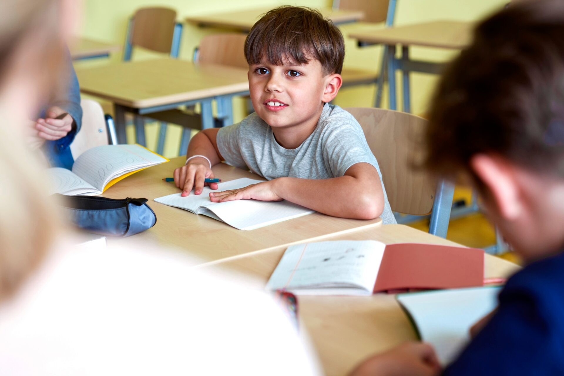 Smiling schoolboy in the classroom